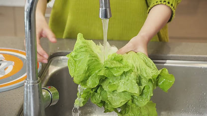 6.3 Qt XL Salad Spinner One-Handed Pump, Fast Dry, Multi-Use, Dishwasher Safe